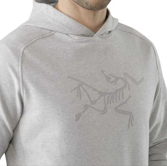 Arc’teryx Archaeopteryx Pullover Hoodie - Picture 2 of 8